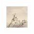 Flowers 04 2